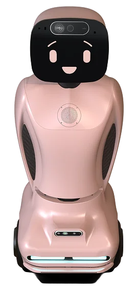 Navi Robot